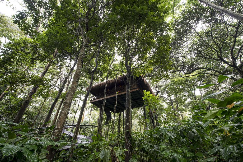 Pepper Trail Hotel Sultan Bathery Ruang foto